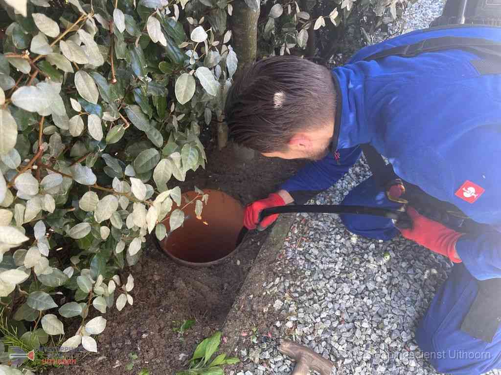 Rioolvliegjes Uithoorn Rioolvliegjes Uithoorn